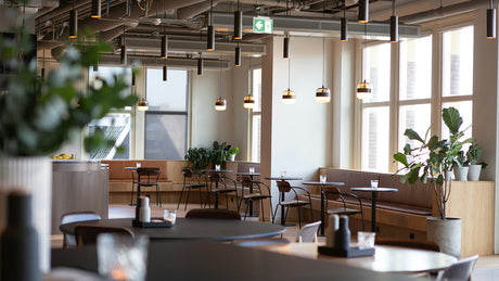 Insights into U.S. Dining Trends: Fast-Casual Restaurants Leading the Charge